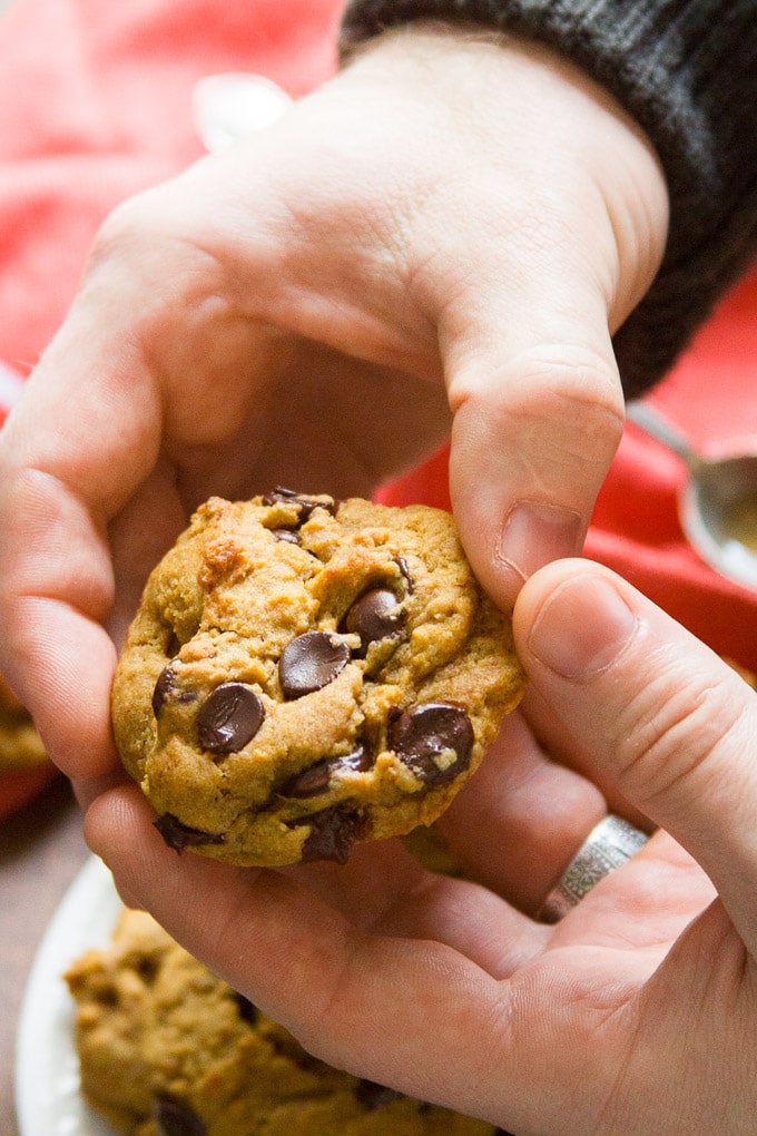 Close Up of Hands Holding a Vegan Pumpkin Chocolate Chip Cookie