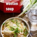 Vegan Wonton Soup