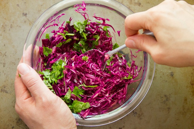 Hand Stirring Cabbage, Cilantro and Seasonings Together in a Bowl to Make Cilantro Lime Slaw