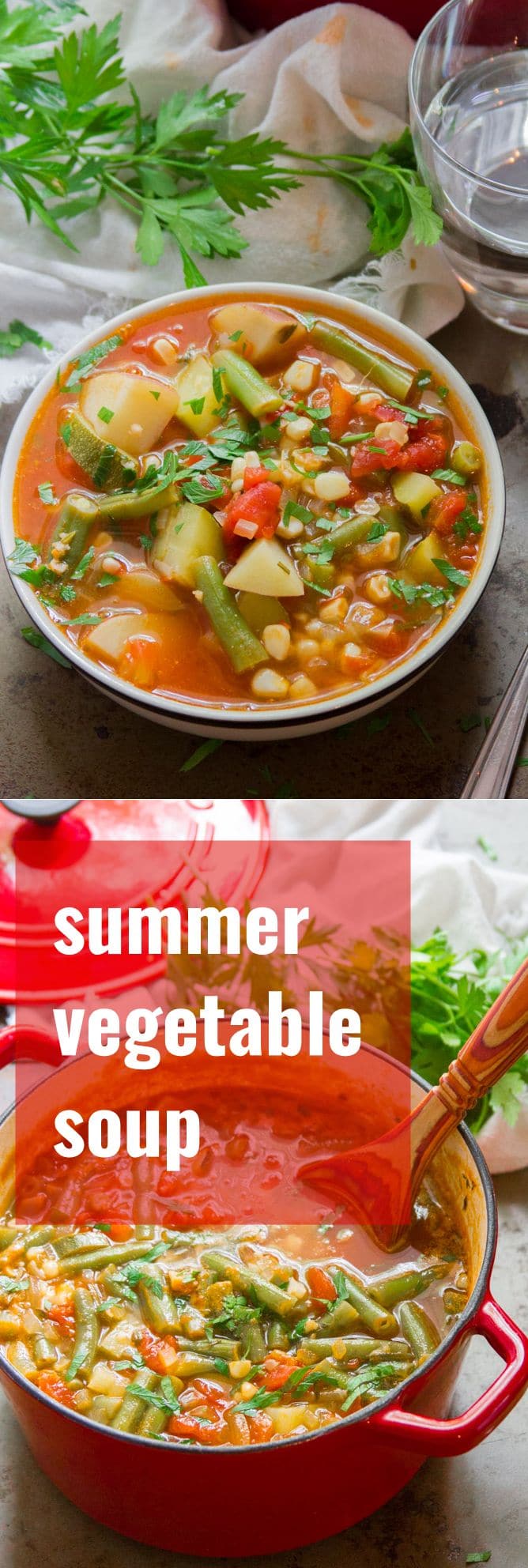 Summer Vegetable Soup