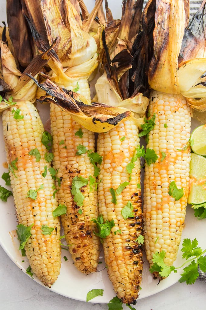Mexican Grilled Street Corn on a Plate with Sauce and Fresh Cilantro