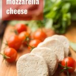 Vegan Mozzarella Cheese