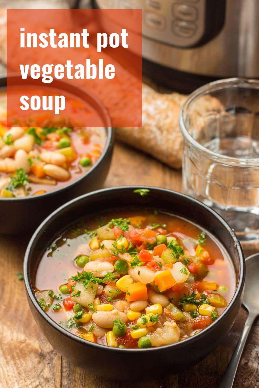 Instant Pot Vegetable Soup - Connoisseurus Veg