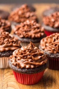 Many Vegan Chocolate Cupcakes with Chocolate Frosting on Top