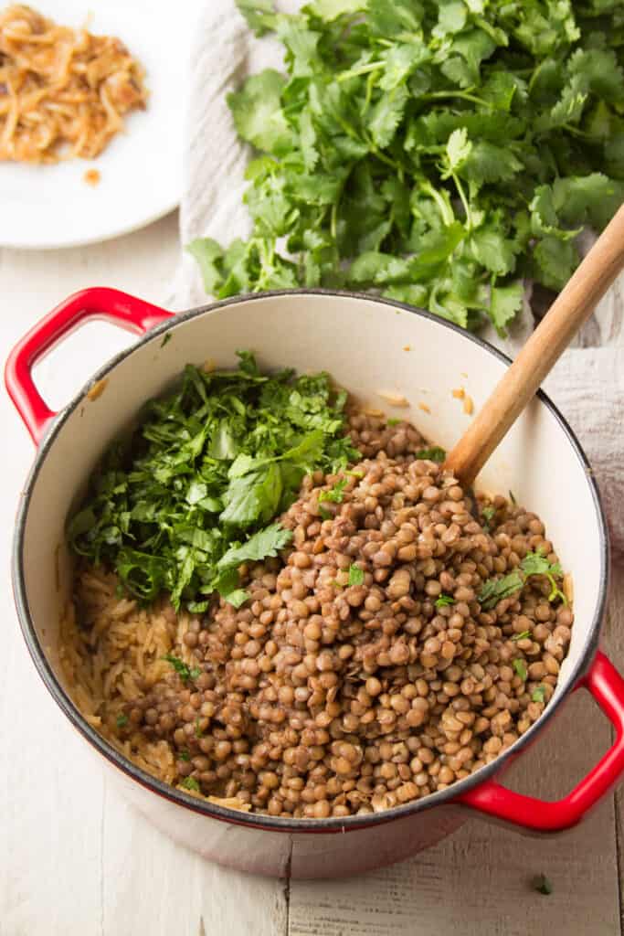 Cooked Rice, Lentils and Cilantro in a Pot with Wooden Spoon