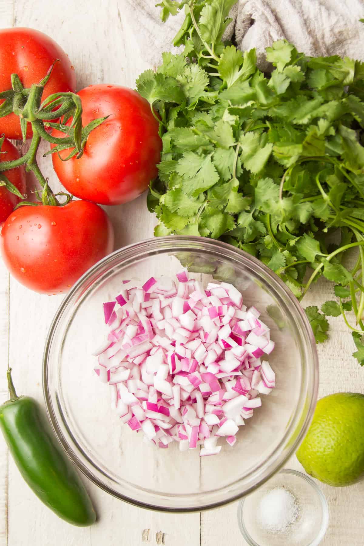 White Wooden Surface Set with Tomatoes, Cilantro, Bowl of Chopped Red Onion, Lime, Jalapeno, and Dish of Salt