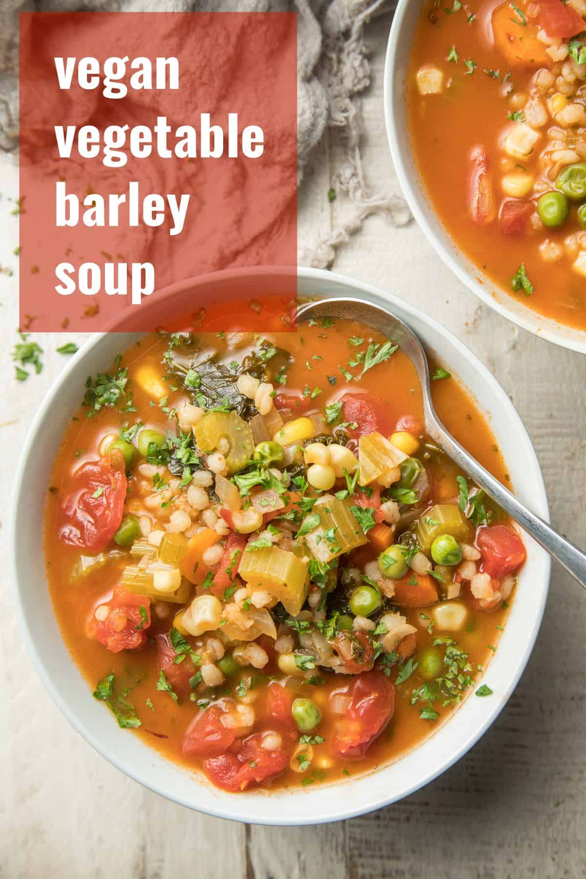 Hearty Vegetable Barley Soup - Connoisseurus Veg