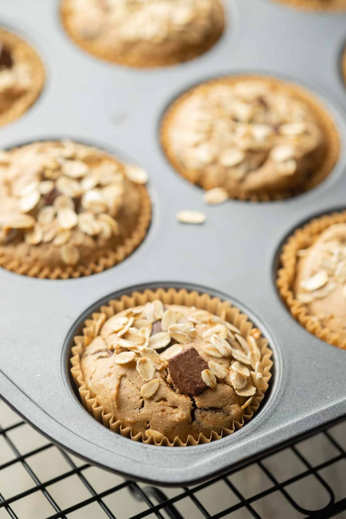 Chocolate Chip Oat Flour Muffins in a tin on a cooling rack.