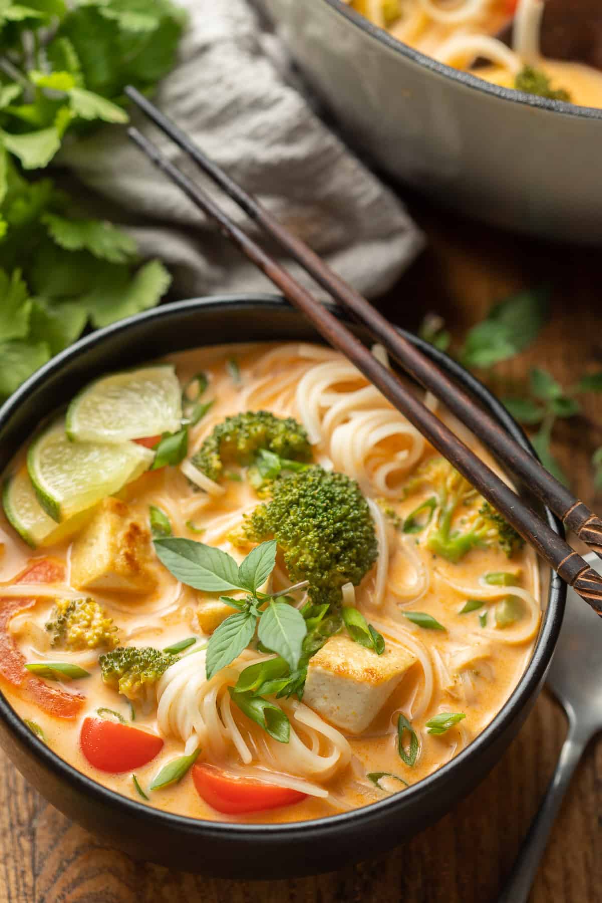 Pink Curry Noodle Soup &#8211; Connoisseurus Veg
