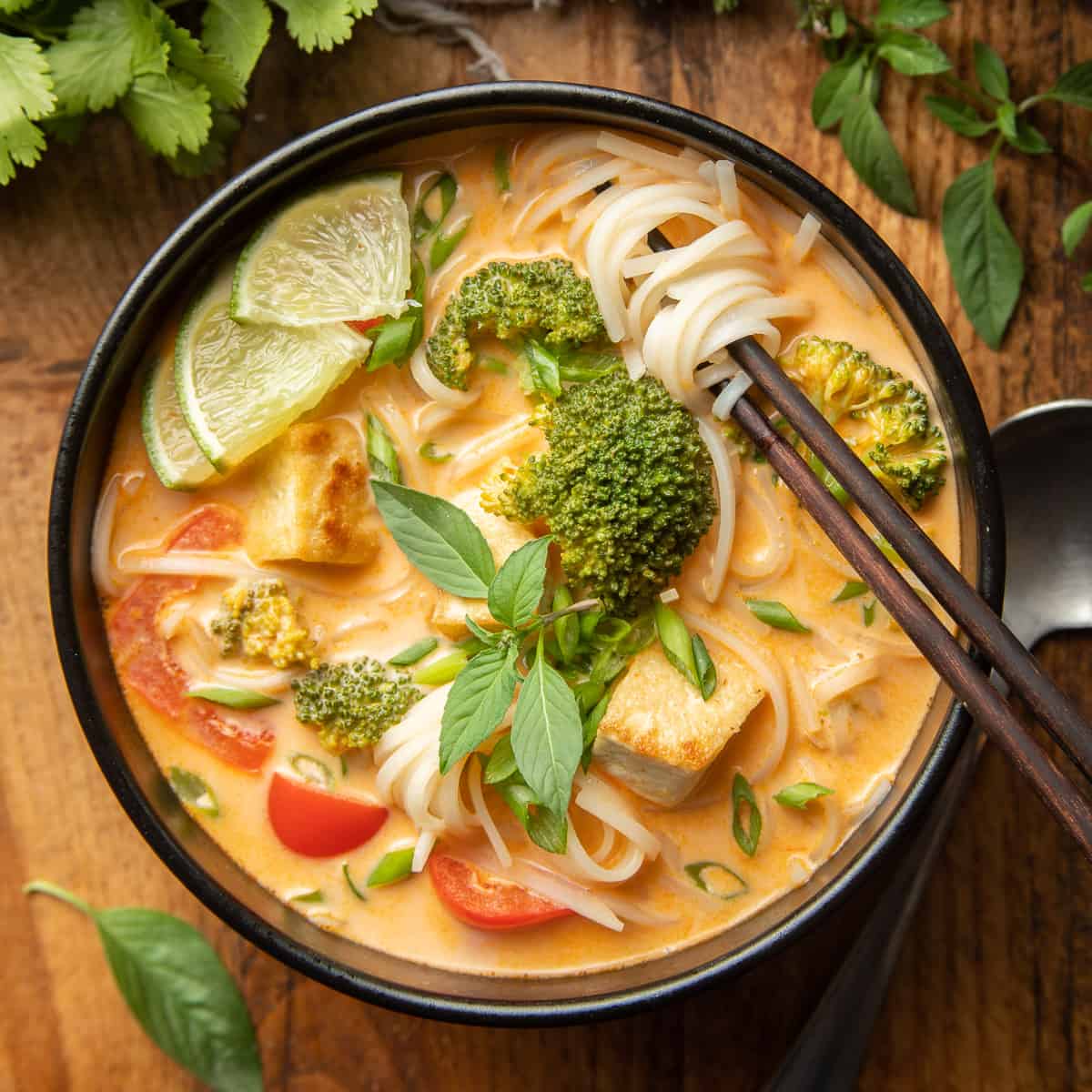 Billy ged Logisk Ondartet Red Curry Noodle Soup - Connoisseurus Veg