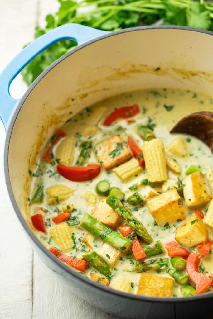 Vegan Thai Green Curry with Tofu & Veggies - Connoisseurus Veg