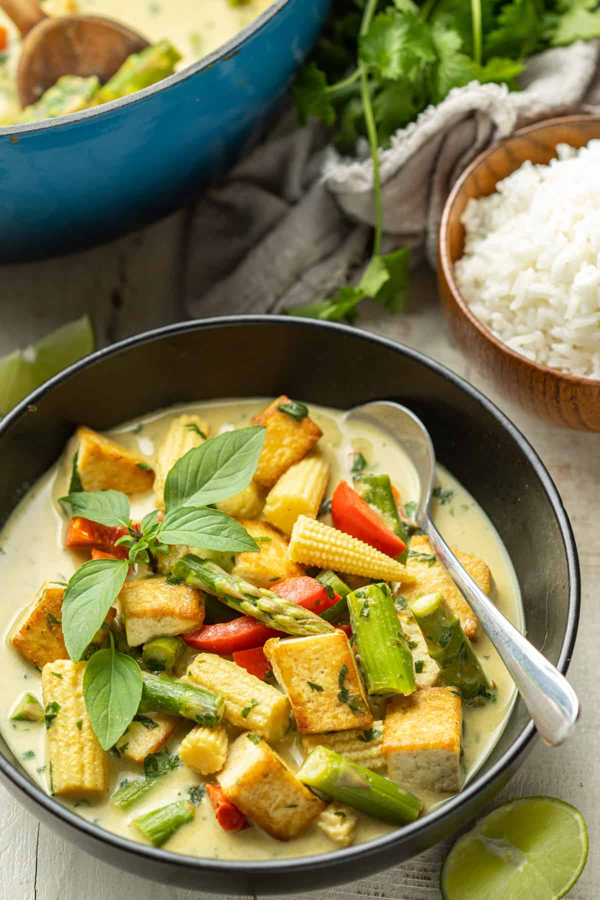 Bowl of Vegan Green Curry with pot and bowl of rice in the background.