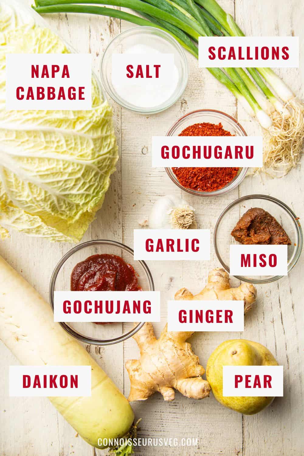 Ingredients for making Vegan Kimchi arranged on a white surface with identification labels.