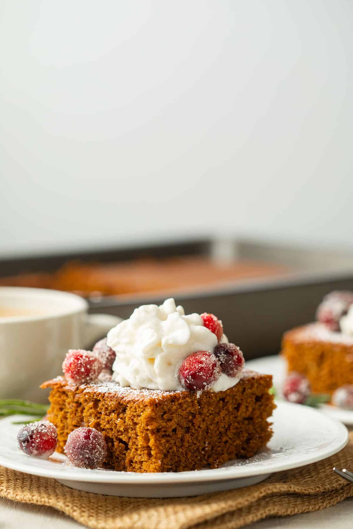 Slice of Vegan Gingerbread Cake topped with whipped cream, sugared cranberries and powdered sugar.