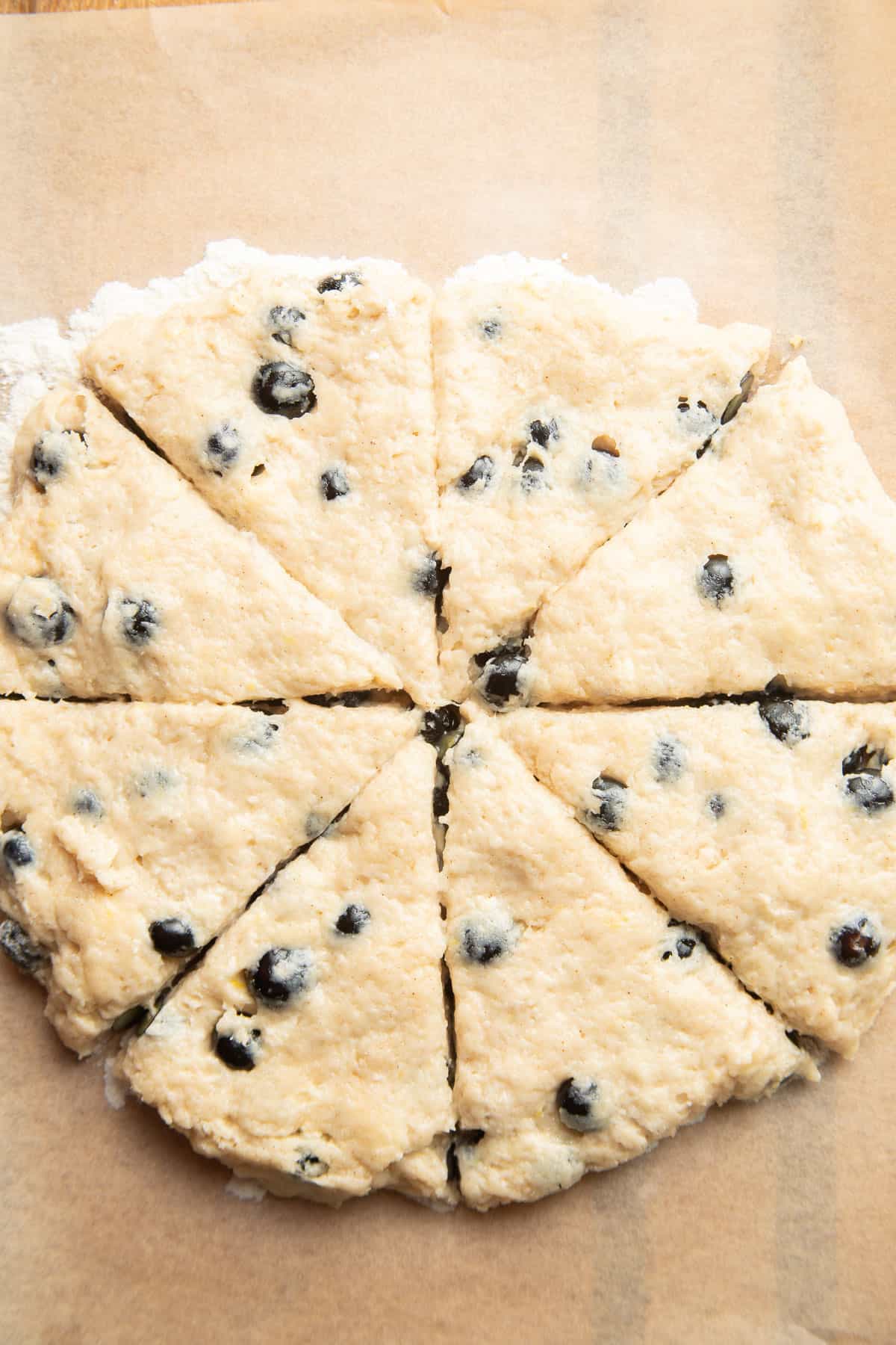 Blueberry scone dough shaped into a circle and cut into 8 wedges.