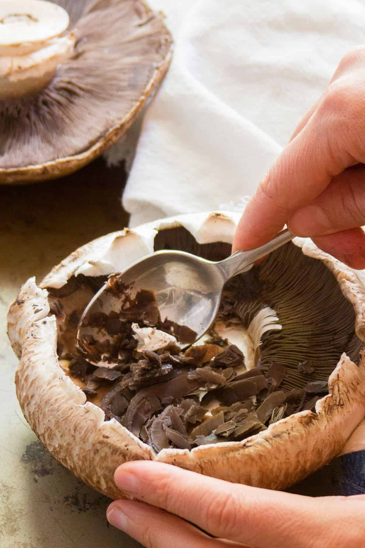 Spoon scraping gills from a portobello mushroom.