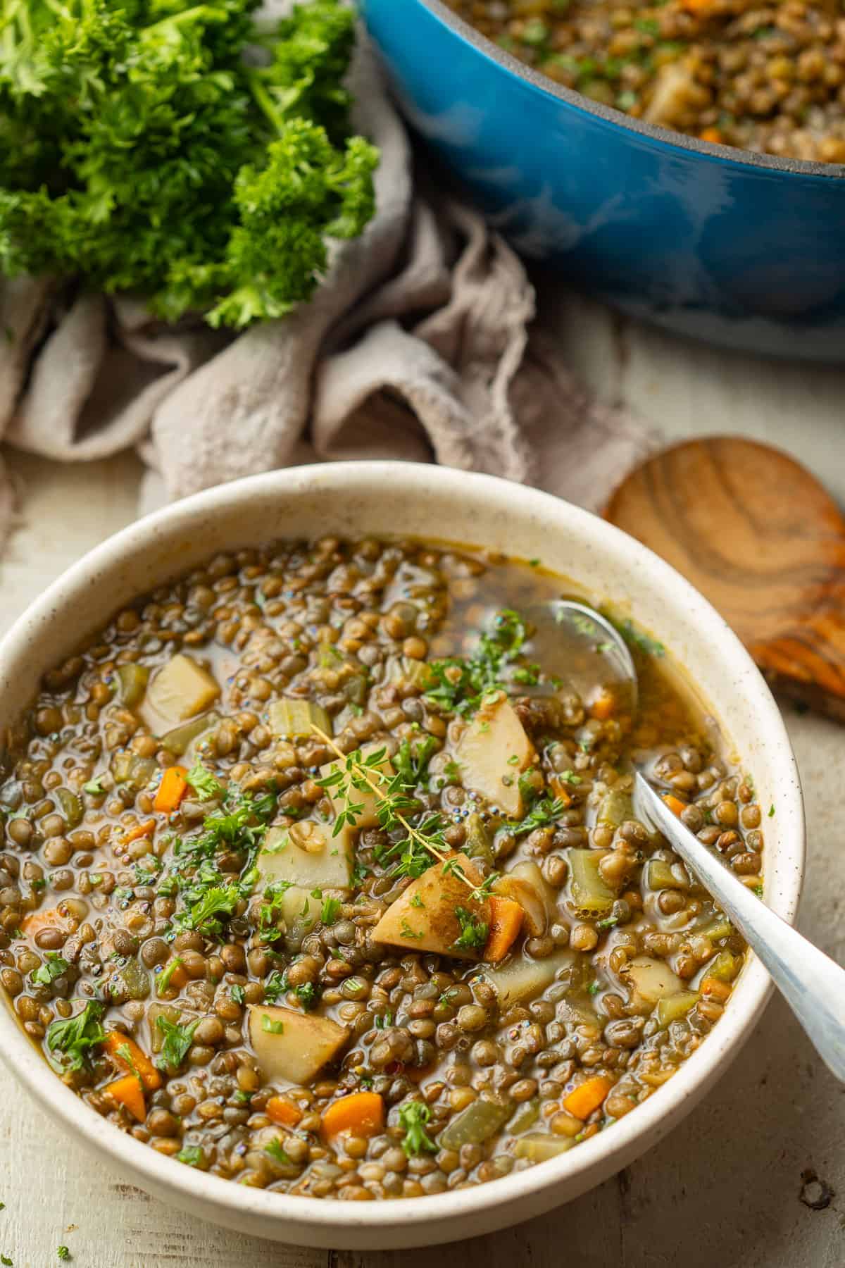 Classic Mushroom Barley Soup - Connoisseurus Veg
