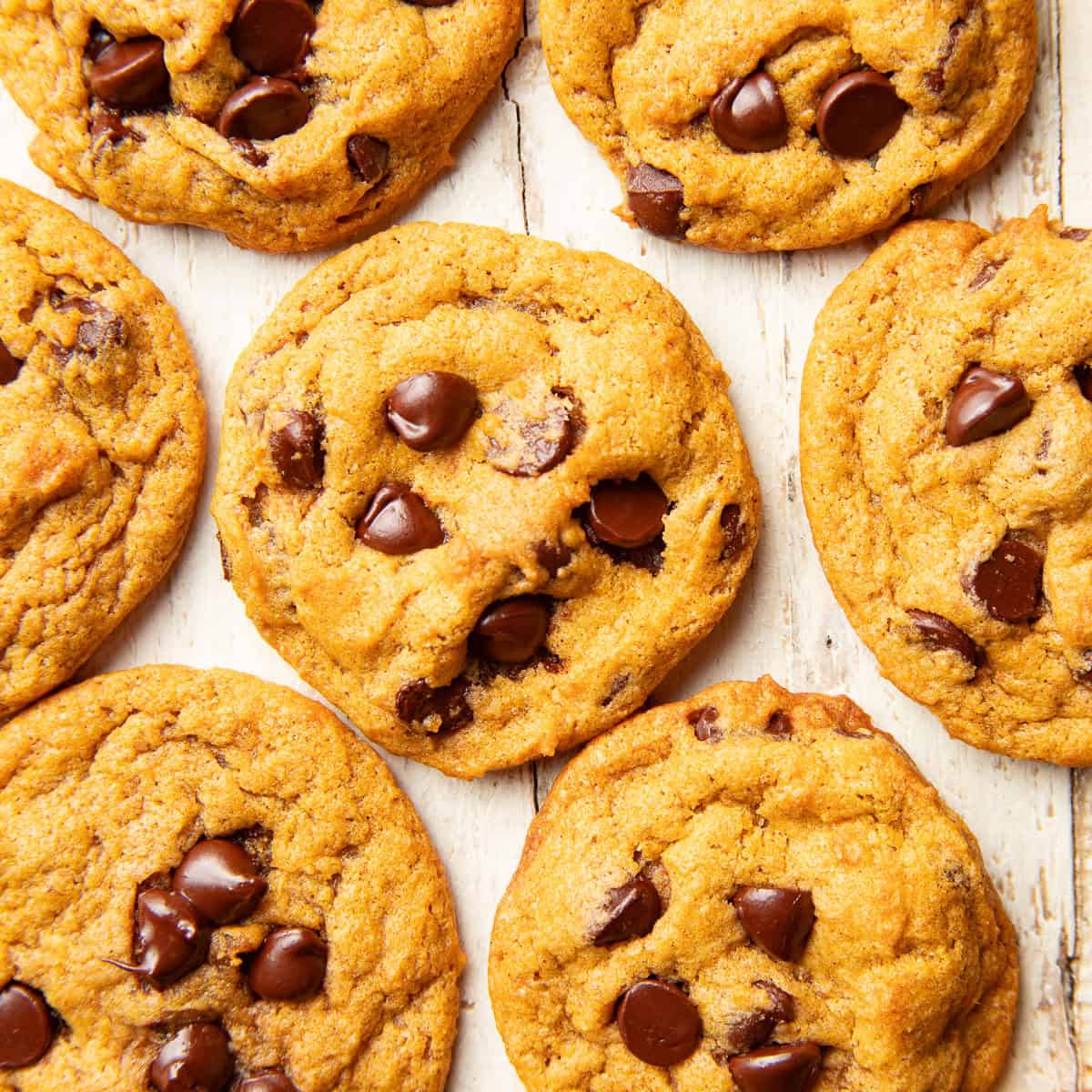 Pumpkin Chocolate Chip Cookies