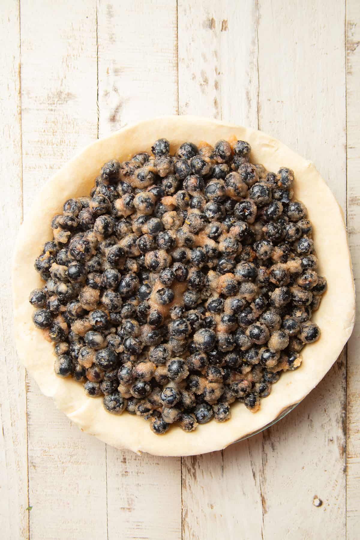 Bottom pie crust filled with unbaked blueberry filling.