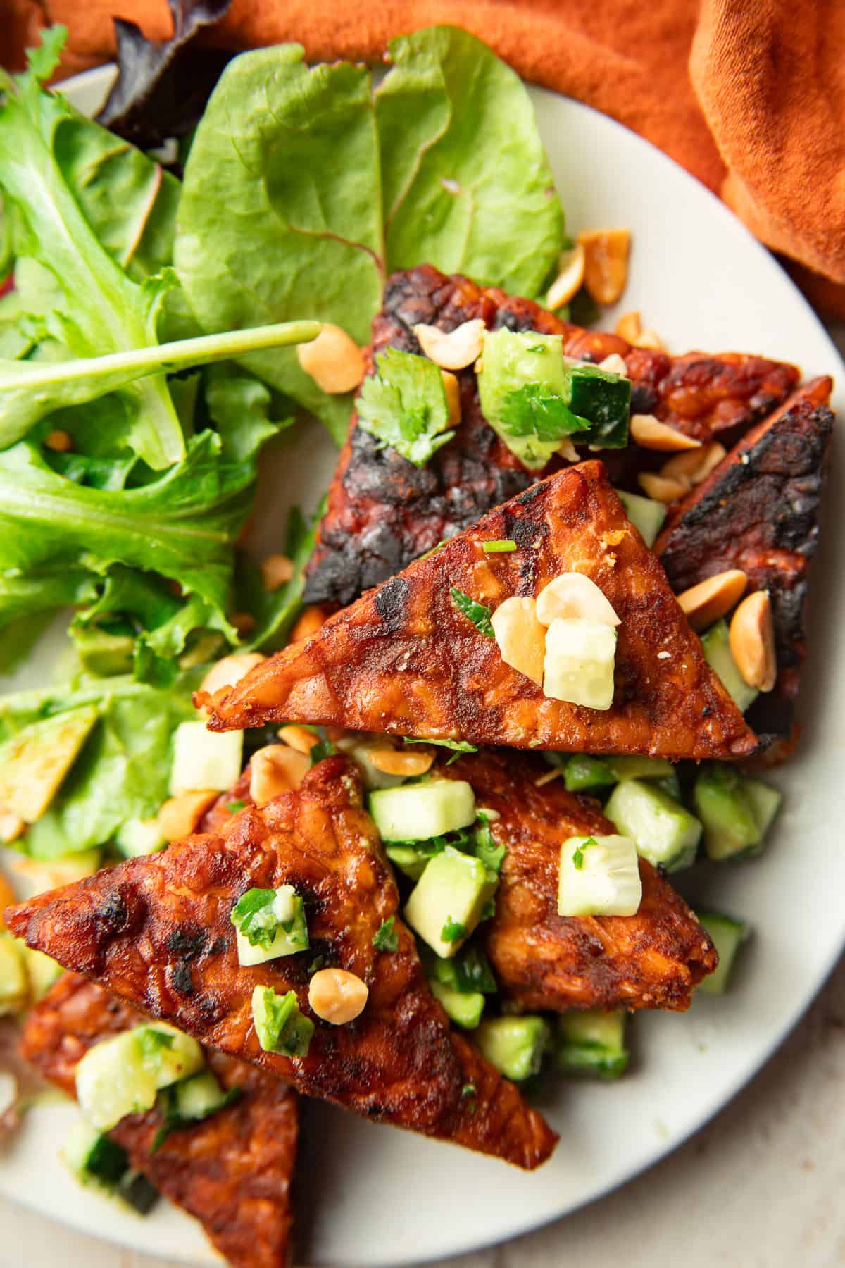 Grilled Tempeh triangles topped with diced cucumber, avocado, and peanuts.