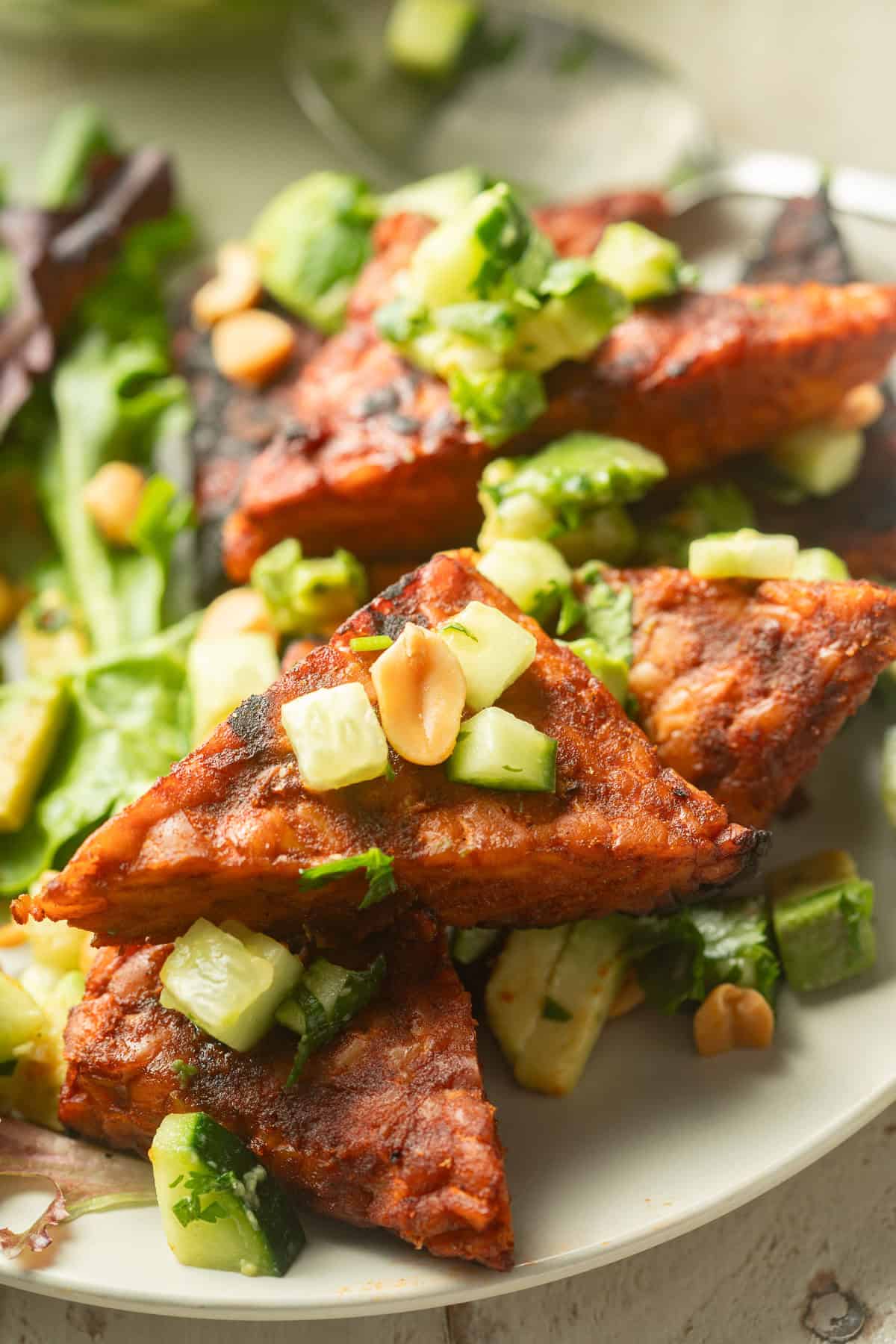 Grilled tempeh triangles topped with avocado cucumber relish and peanuts.