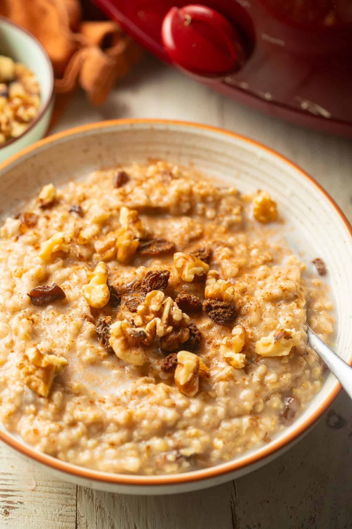 Bowl of Slow Cooker Oatmeal with slow cooker in the background.